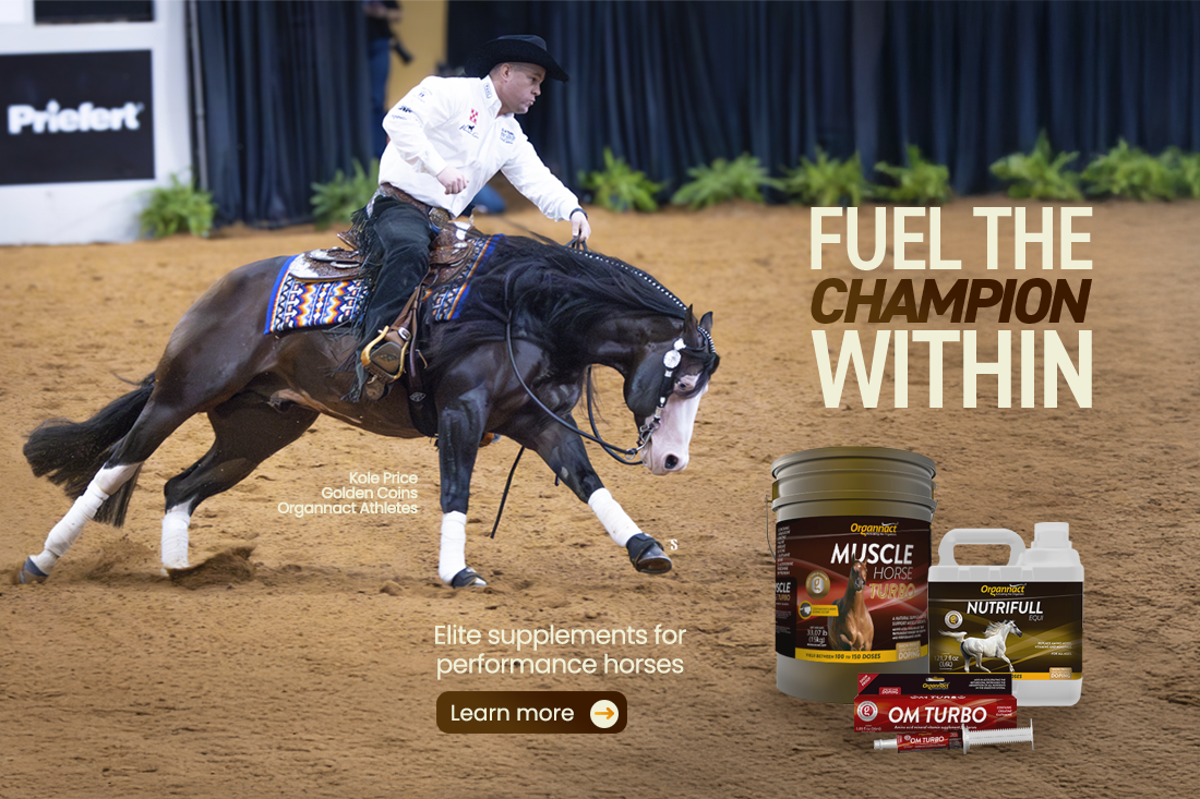 Vitamin E supplementation equine, Horse muscle, Equine muscle, Magnesium supplementation horse, Magnesium supplementation equine, Energy supplement for horse, Energy supplement for equine, Horse energy, Equine energy, Energy boost supplement for horses, Energy boost supplement for equines, Best supplement for horse, Best supplement for equine, Equine diet, Horse diet, Horse protein supplement, Equine protein supplement, Equine digestive, Horse digestive