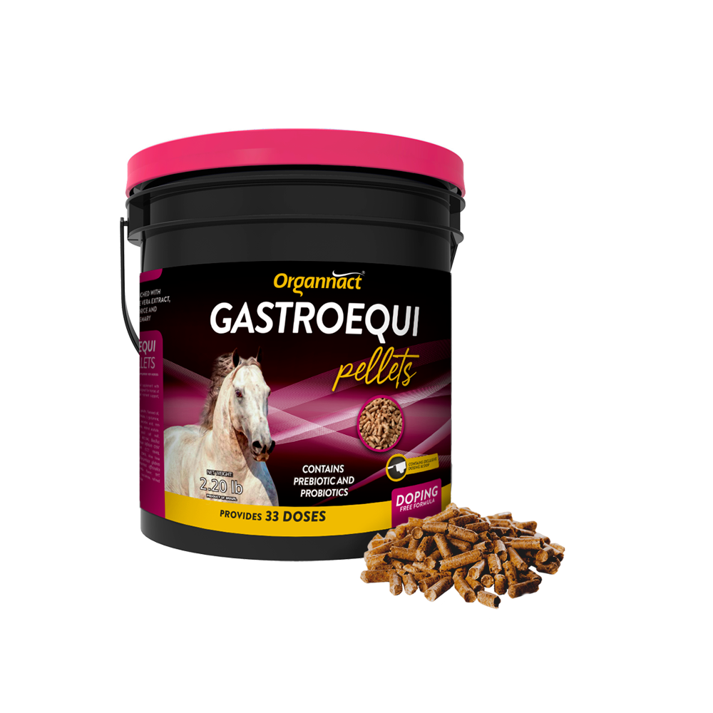 Equine metabolic, Horse metabolic, Pelleted horse, Pelleted equine, Horse digestion, Equine digestion, Horse intestine, Equine intestine, Horse gut health, Equine gut health, Horse nutrition care, Equine nutrition care, Hoof supplements horse, Hoof supplements equine, Healthy coat for horses, Healthy coat for equines, ATP horses, ATP equines, Pre race horses, Complete equine performance products