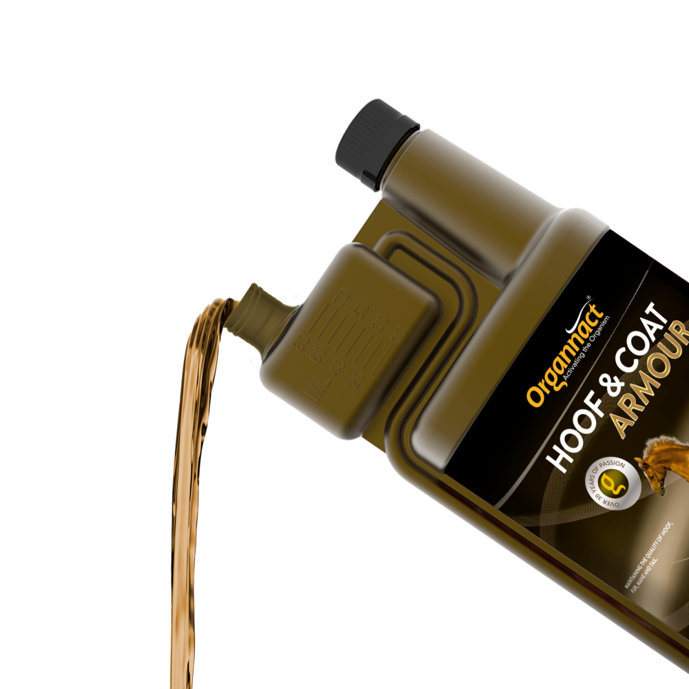 Equine metabolic, Horse metabolic, Pelleted horse, Pelleted equine, Horse digestion, Equine digestion, Horse intestine, Equine intestine, Horse gut health, Equine gut health, Horse nutrition care, Equine nutrition care, Hoof supplements horse, Hoof supplements equine, Healthy coat for horses, Healthy coat for equines, ATP horses, ATP equines, Pre race horses, Complete equine performance products