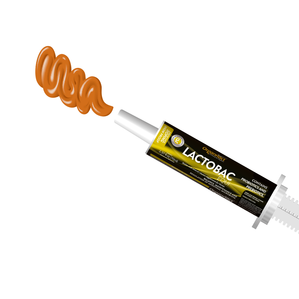 Equine metabolic, Horse metabolic, Pelleted horse, Pelleted equine, Horse digestion, Equine digestion, Horse intestine, Equine intestine, Horse gut health, Equine gut health, Horse nutrition care, Equine nutrition care, Hoof supplements horse, Hoof supplements equine, Healthy coat for horses, Healthy coat for equines, ATP horses, ATP equines, Pre race horses, Complete equine performance products