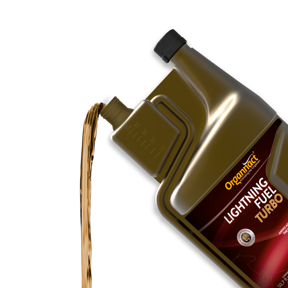 Equine metabolic, Horse metabolic, Pelleted horse, Pelleted equine, Horse digestion, Equine digestion, Horse intestine, Equine intestine, Horse gut health, Equine gut health, Horse nutrition care, Equine nutrition care, Hoof supplements horse, Hoof supplements equine, Healthy coat for horses, Healthy coat for equines, ATP horses, ATP equines, Pre race horses, Complete equine performance products