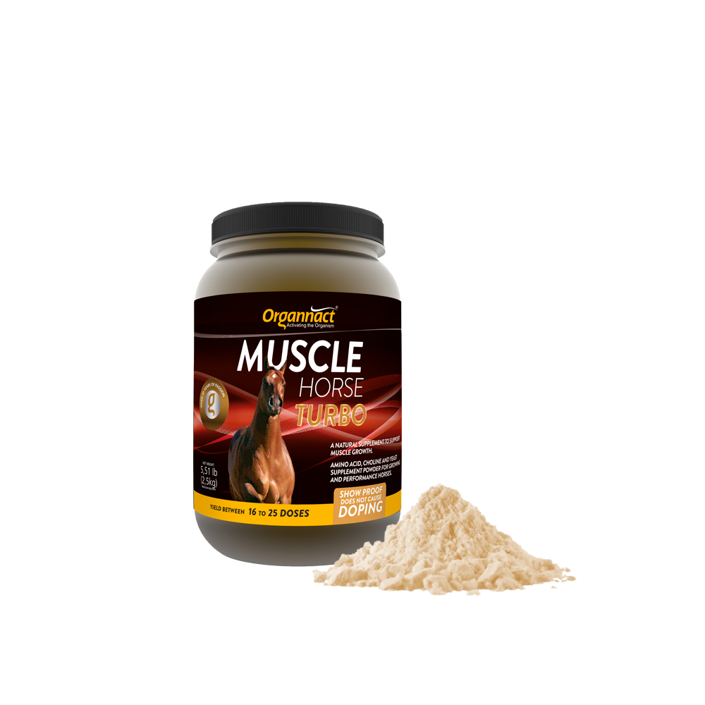 Equine muscle gain, Best supplement for horse metabolic, Best supplement for equine metabolic, Best supplement for performance horses, Best supplement for performance equines, Digestive supplement for horse, Digestive supplement for equines, Calming supplements for horses, Calming supplements for equines, Best calming paste, Horse vitamins and minerals supplement, Equine vitamins and minerals supplement, Supplement performance for horse, Supplement performance for equine