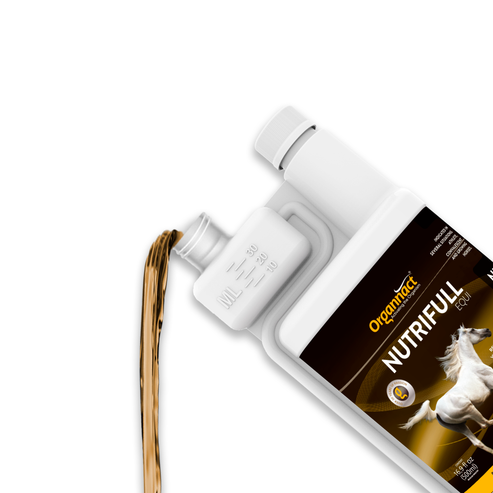 Pre race equines, BCAA equine, BCAA horses, Horse nutrition, Equine nutrition, Weight gain supplements for horses, Weight gain supplements for equines, Foals supplementation, Foal supplement, Supplements for foals, Healthy foal, Newborn foal supplement, Products for newborn foal, Newborn foal care, Foals essential care, Newborn foal, Foal products, Mares nutrition, Nutrition for mares