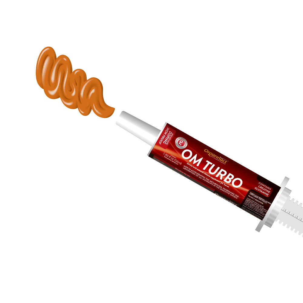 Equine metabolic, Horse metabolic, Pelleted horse, Pelleted equine, Horse digestion, Equine digestion, Horse intestine, Equine intestine, Horse gut health, Equine gut health, Horse nutrition care, Equine nutrition care, Hoof supplements horse, Hoof supplements equine, Healthy coat for horses, Healthy coat for equines, ATP horses, ATP equines, Pre race horses, Complete equine performance products