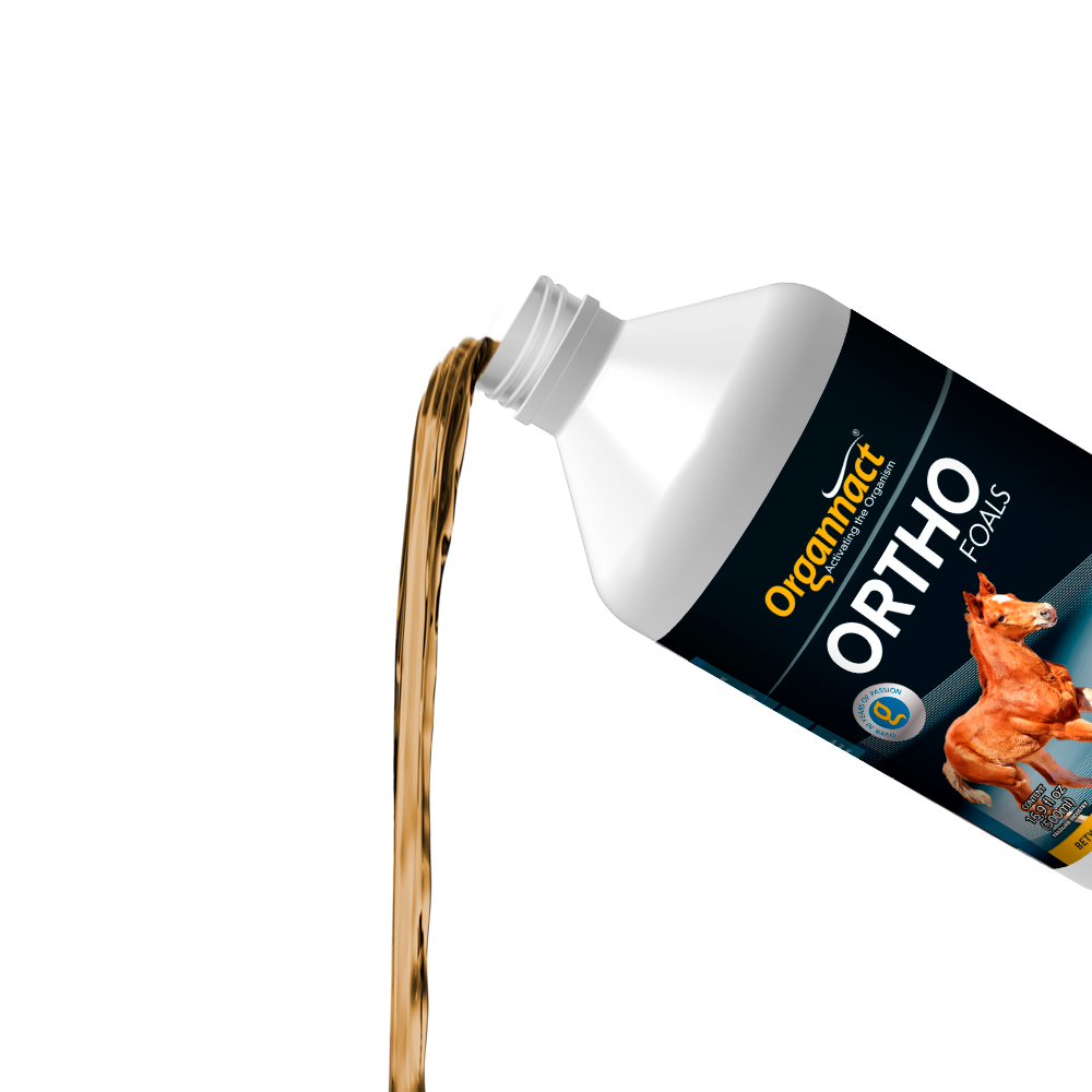 Equine metabolic, Horse metabolic, Pelleted horse, Pelleted equine, Horse digestion, Equine digestion, Horse intestine, Equine intestine, Horse gut health, Equine gut health, Horse nutrition care, Equine nutrition care, Hoof supplements horse, Hoof supplements equine, Healthy coat for horses, Healthy coat for equines, ATP horses, ATP equines, Pre race horses, Complete equine performance products