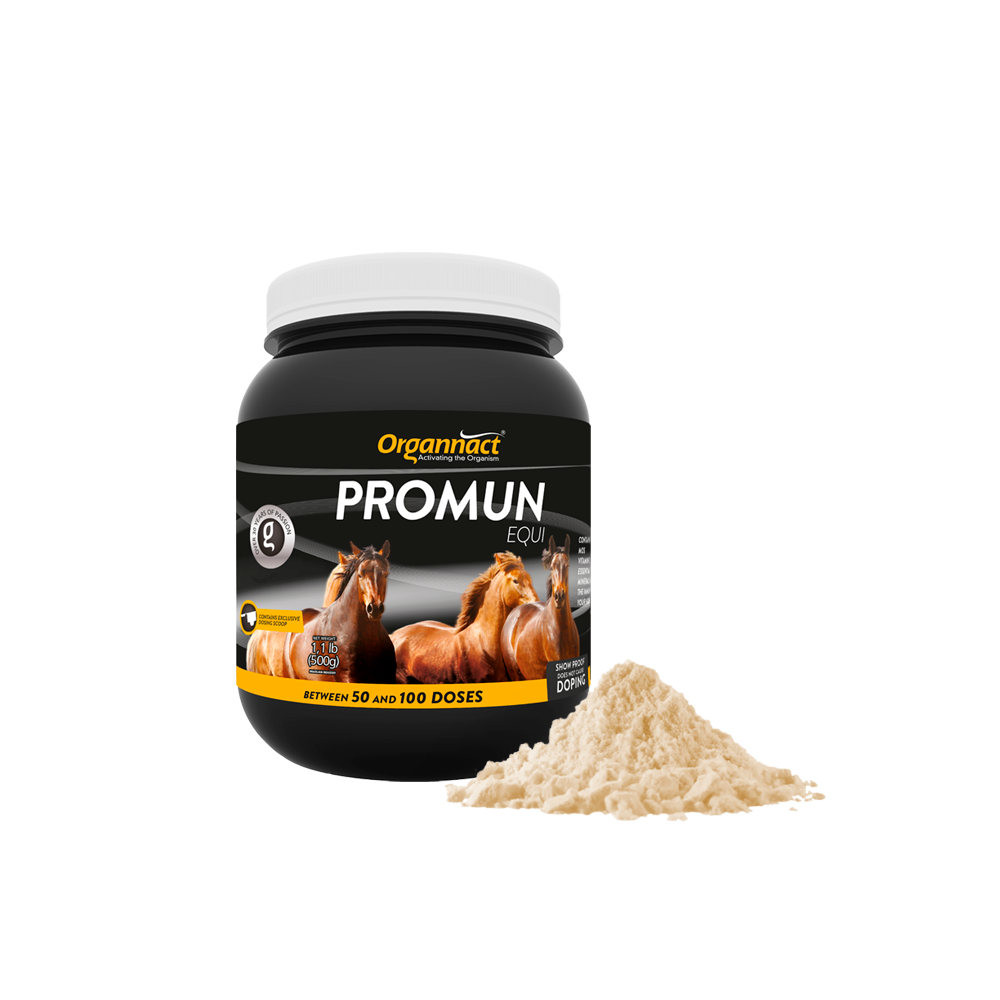 Equine metabolic, Horse metabolic, Pelleted horse, Pelleted equine, Horse digestion, Equine digestion, Horse intestine, Equine intestine, Horse gut health, Equine gut health, Horse nutrition care, Equine nutrition care, Hoof supplements horse, Hoof supplements equine, Healthy coat for horses, Healthy coat for equines, ATP horses, ATP equines, Pre race horses, Complete equine performance products