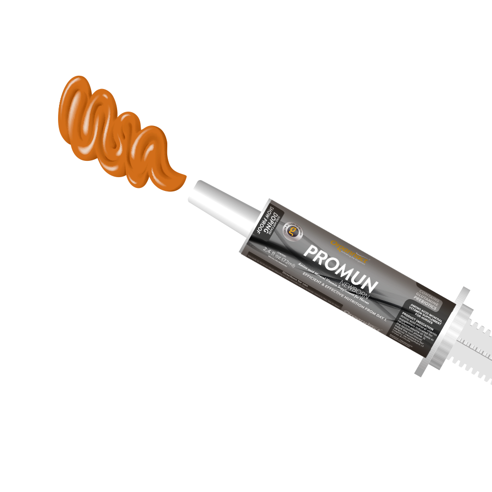 Equine metabolic, Horse metabolic, Pelleted horse, Pelleted equine, Horse digestion, Equine digestion, Horse intestine, Equine intestine, Horse gut health, Equine gut health, Horse nutrition care, Equine nutrition care, Hoof supplements horse, Hoof supplements equine, Healthy coat for horses, Healthy coat for equines, ATP horses, ATP equines, Pre race horses, Complete equine performance products