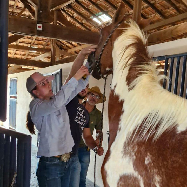 Equine metabolic, Horse metabolic, Pelleted horse, Pelleted equine, Horse digestion, Equine digestion, Horse intestine, Equine intestine, Horse gut health, Equine gut health, Horse nutrition care, Equine nutrition care, Hoof supplements horse, Hoof supplements equine, Healthy coat for horses, Healthy coat for equines, ATP horses, ATP equines, Pre race horses, Complete equine performance products