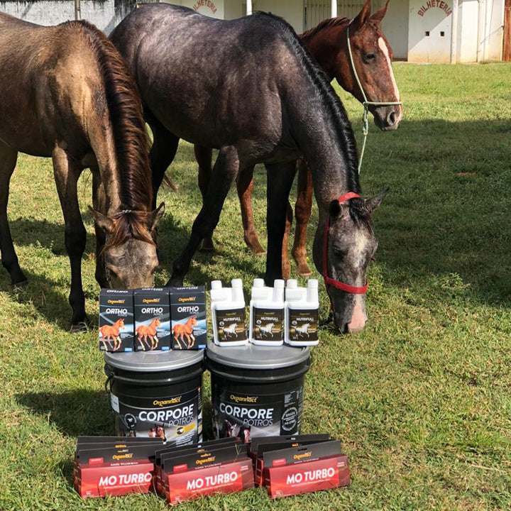 Equine metabolic, Horse metabolic, Pelleted horse, Pelleted equine, Horse digestion, Equine digestion, Horse intestine, Equine intestine, Horse gut health, Equine gut health, Horse nutrition care, Equine nutrition care, Hoof supplements horse, Hoof supplements equine, Healthy coat for horses, Healthy coat for equines, ATP horses, ATP equines, Pre race horses, Complete equine performance products