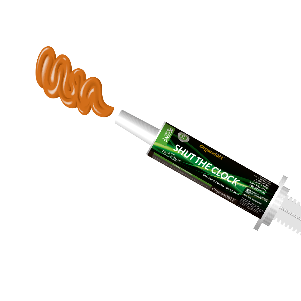 Equine metabolic, Horse metabolic, Pelleted horse, Pelleted equine, Horse digestion, Equine digestion, Horse intestine, Equine intestine, Horse gut health, Equine gut health, Horse nutrition care, Equine nutrition care, Hoof supplements horse, Hoof supplements equine, Healthy coat for horses, Healthy coat for equines, ATP horses, ATP equines, Pre race horses, Complete equine performance products