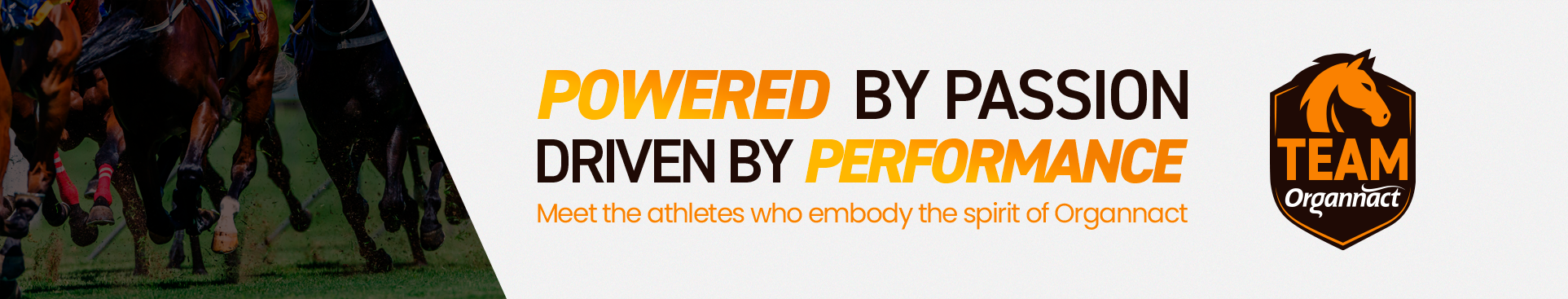 Vitamin E supplementation equine, Horse muscle, Equine muscle, Magnesium supplementation horse, Magnesium supplementation equine, Energy supplement for horse, Energy supplement for equine, Horse energy, Equine energy, Energy boost supplement for horses, Energy boost supplement for equines, Best supplement for horse, Best supplement for equine, Equine diet, Horse diet, Horse protein supplement, Equine protein supplement, Equine digestive, Horse digestive