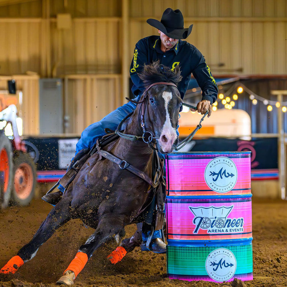 Pre race equines, BCAA equine, BCAA horses, Horse nutrition, Equine nutrition, Weight gain supplements for horses, Weight gain supplements for equines, Foals supplementation, Foal supplement, Supplements for foals, Healthy foal, Newborn foal supplement, Products for newborn foal, Newborn foal care, Foals essential care, Newborn foal, Foal products, Mares nutrition, Nutrition for mares