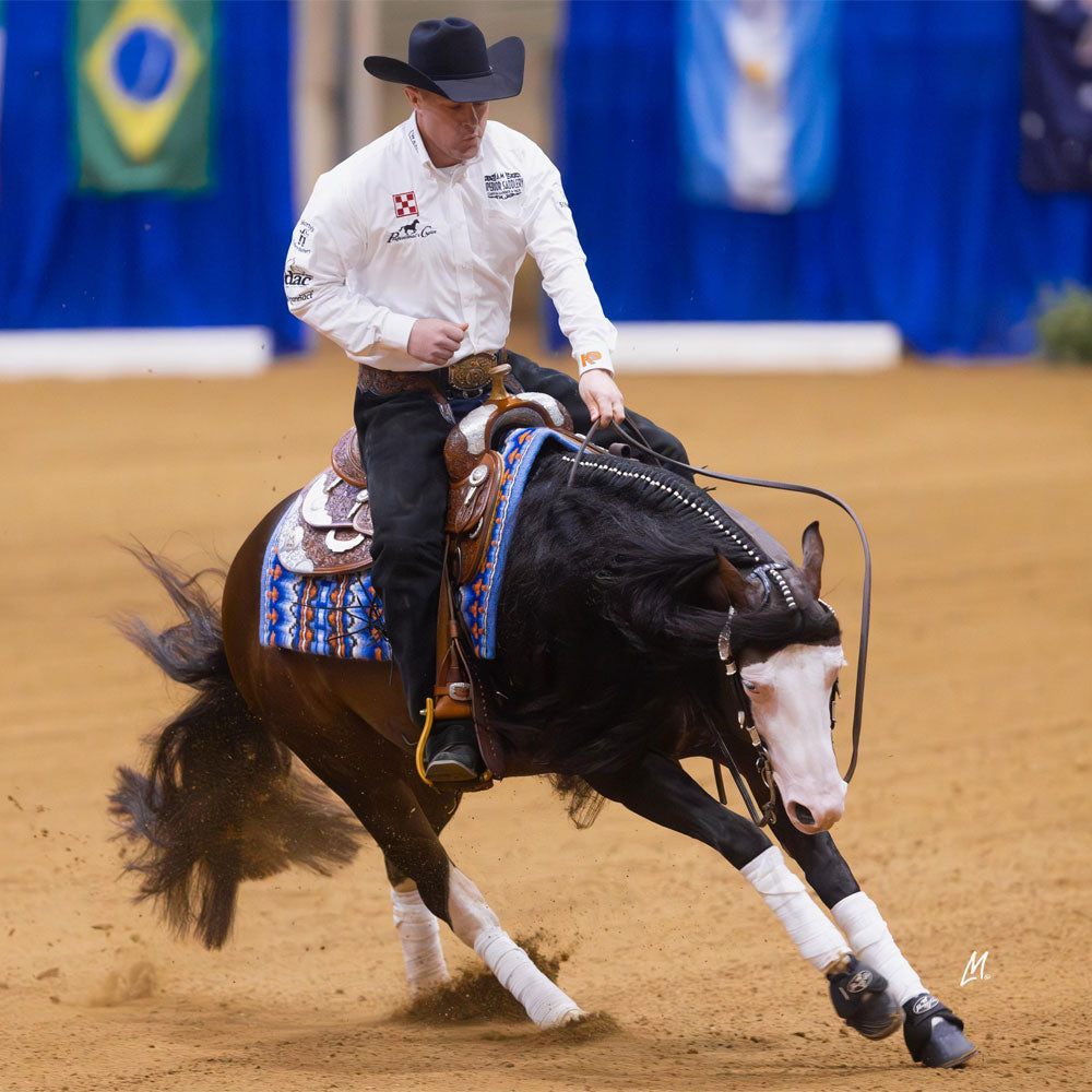 Pre race equines, BCAA equine, BCAA horses, Horse nutrition, Equine nutrition, Weight gain supplements for horses, Weight gain supplements for equines, Foals supplementation, Foal supplement, Supplements for foals, Healthy foal, Newborn foal supplement, Products for newborn foal, Newborn foal care, Foals essential care, Newborn foal, Foal products, Mares nutrition, Nutrition for mares