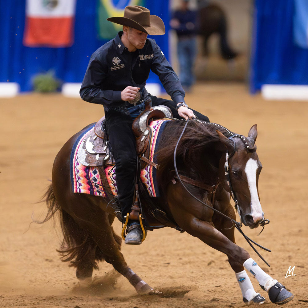 Mares diet, Mare well-being, Mares colostrum, Mares immune system, Mare immunity supplements, Horse immunity supplements, Equine immunity supplements, Stallion supplement, Horse antioxidant supplement, Equine antioxidant supplement, Complete horse performance products, Horse performance supplement, Equine performance supplement, Vitamin E supplementation horse