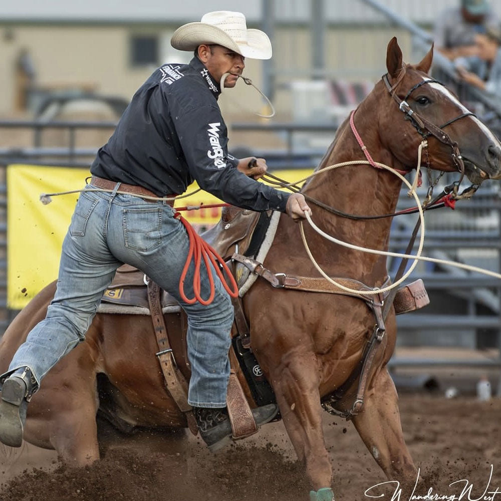 Mares diet, Mare well-being, Mares colostrum, Mares immune system, Mare immunity supplements, Horse immunity supplements, Equine immunity supplements, Stallion supplement, Horse antioxidant supplement, Equine antioxidant supplement, Complete horse performance products, Horse performance supplement, Equine performance supplement, Vitamin E supplementation horse