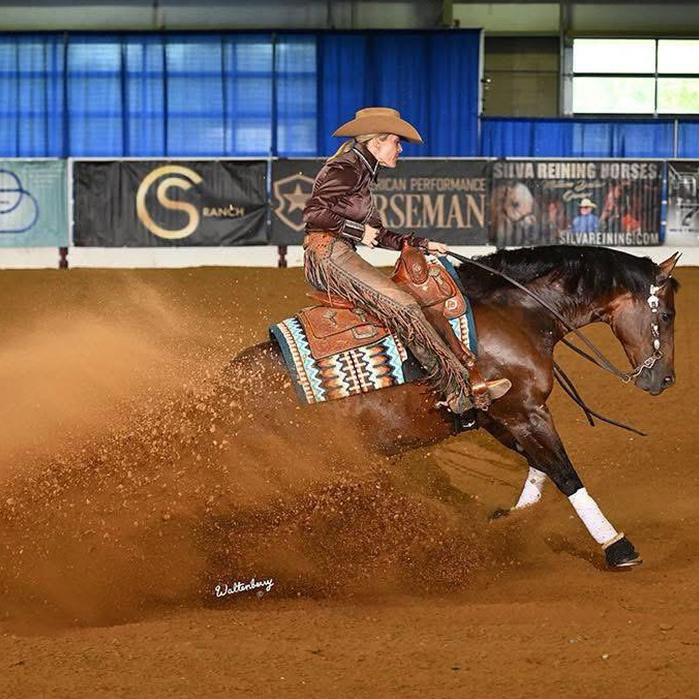 Mares diet, Mare well-being, Mares colostrum, Mares immune system, Mare immunity supplements, Horse immunity supplements, Equine immunity supplements, Stallion supplement, Horse antioxidant supplement, Equine antioxidant supplement, Complete horse performance products, Horse performance supplement, Equine performance supplement, Vitamin E supplementation horse