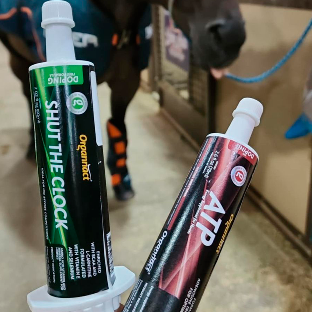 Horse supplements, Equine supplements, Horse supplement, Equine supplement, Performance horse, Performance equine, Performance horse training, Performance equine training, Calm supplement for horses, Calm supplement for equines, Best supplement for horses, Best supplement for equines, Energy supplement for horses, Energy supplement for equines, Supplement for horses muscles, Supplement for equines muscles, Horses muscle mass, Equine muscle mass, Horse muscle gain