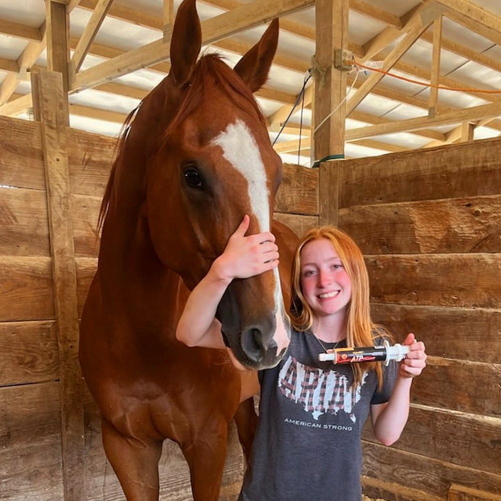 Horse supplements, Equine supplements, Horse supplement, Equine supplement, Performance horse, Performance equine, Performance horse training, Performance equine training, Calm supplement for horses, Calm supplement for equines, Best supplement for horses, Best supplement for equines, Energy supplement for horses, Energy supplement for equines, Supplement for horses muscles, Supplement for equines muscles, Horses muscle mass, Equine muscle mass, Horse muscle gain