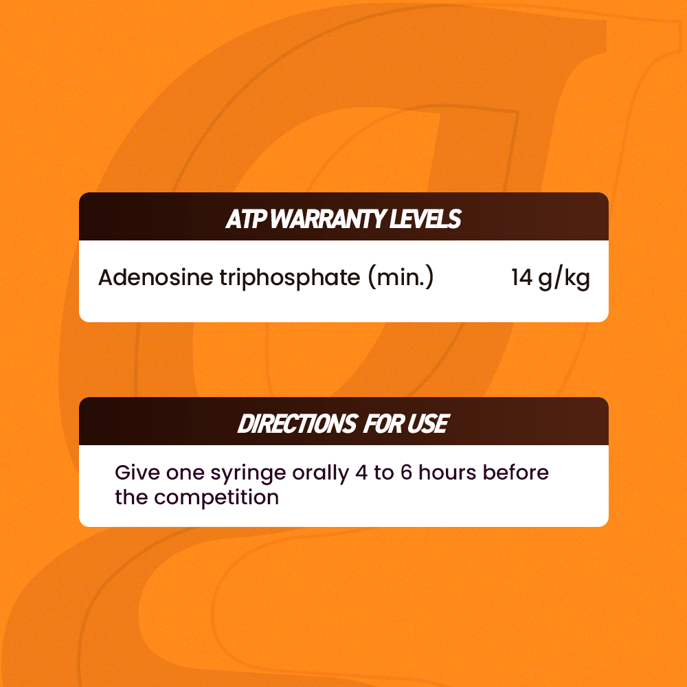 Horse supplements, Equine supplements, Horse supplement, Equine supplement, Performance horse, Performance equine, Performance horse training, Performance equine training, Calm supplement for horses, Calm supplement for equines, Best supplement for horses, Best supplement for equines, Energy supplement for horses, Energy supplement for equines, Supplement for horses muscles, Supplement for equines muscles, Horses muscle mass, Equine muscle mass, Horse muscle gain