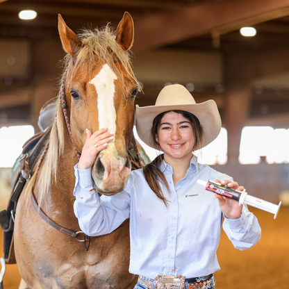 Horse supplements, Equine supplements, Horse supplement, Equine supplement, Performance horse, Performance equine, Performance horse training, Performance equine training, Calm supplement for horses, Calm supplement for equines, Best supplement for horses, Best supplement for equines, Energy supplement for horses, Energy supplement for equines, Supplement for horses muscles, Supplement for equines muscles, Horses muscle mass, Equine muscle mass, Horse muscle gain