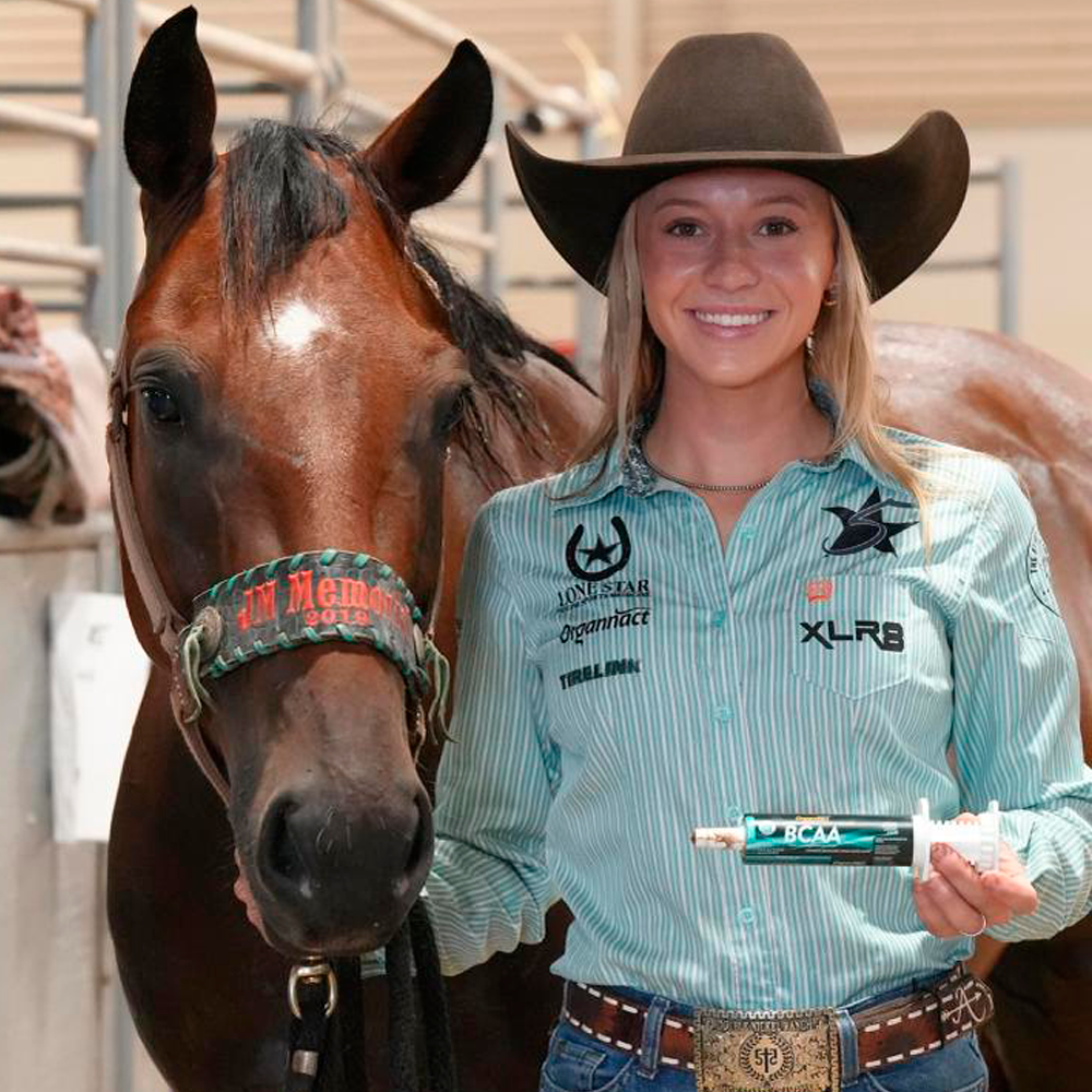 Equine muscle gain, Best supplement for horse metabolic, Best supplement for equine metabolic, Best supplement for performance horses, Best supplement for performance equines, Digestive supplement for horse, Digestive supplement for equines, Calming supplements for horses, Calming supplements for equines, Best calming paste, Horse vitamins and minerals supplement, Equine vitamins and minerals supplement, Supplement performance for horse, Supplement performance for equine