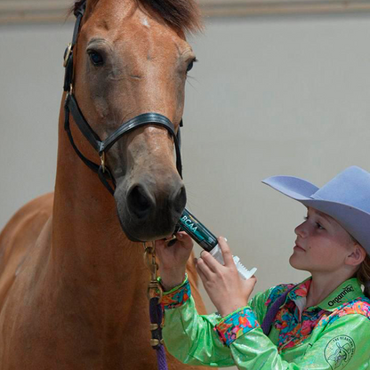 Equine muscle gain, Best supplement for horse metabolic, Best supplement for equine metabolic, Best supplement for performance horses, Best supplement for performance equines, Digestive supplement for horse, Digestive supplement for equines, Calming supplements for horses, Calming supplements for equines, Best calming paste, Horse vitamins and minerals supplement, Equine vitamins and minerals supplement, Supplement performance for horse, Supplement performance for equine
