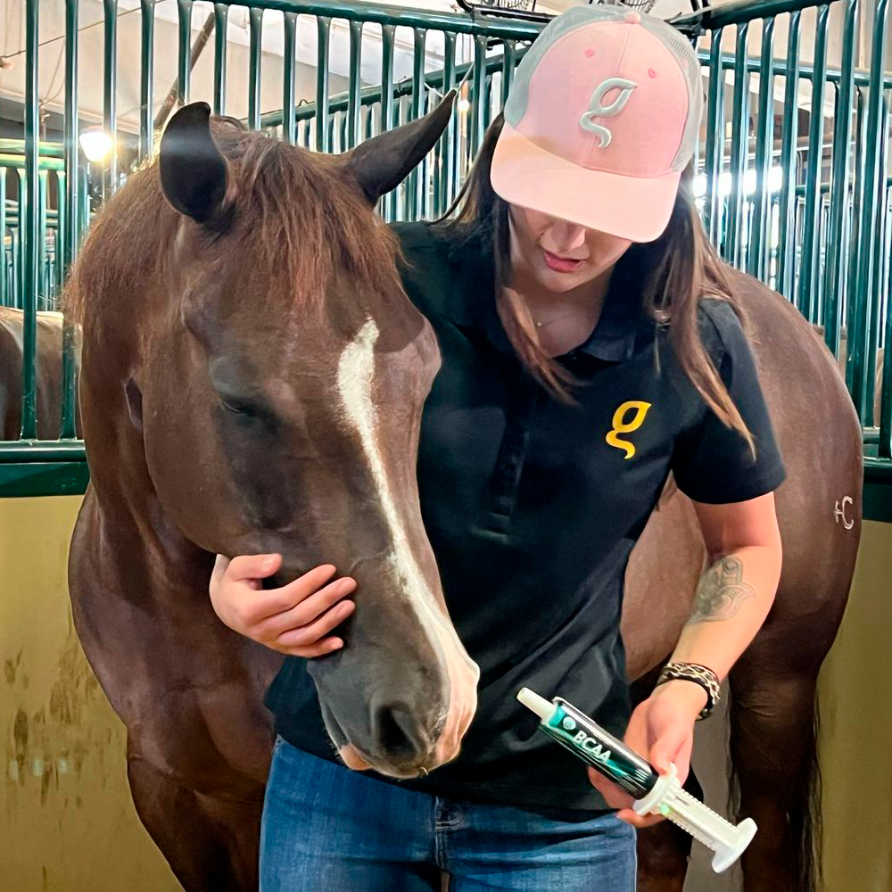 Equine muscle gain, Best supplement for horse metabolic, Best supplement for equine metabolic, Best supplement for performance horses, Best supplement for performance equines, Digestive supplement for horse, Digestive supplement for equines, Calming supplements for horses, Calming supplements for equines, Best calming paste, Horse vitamins and minerals supplement, Equine vitamins and minerals supplement, Supplement performance for horse, Supplement performance for equine