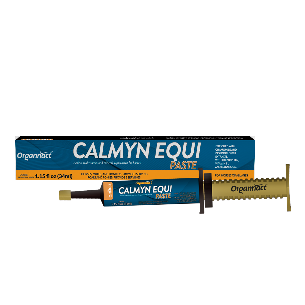 Organnact Calmyn Equi Paste Horse Supplement