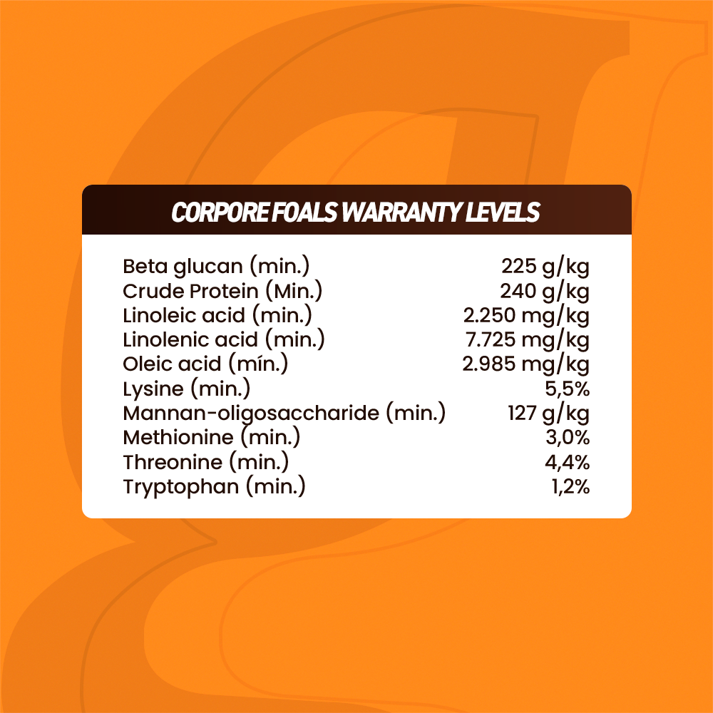 Horse supplements, Equine supplements, Horse supplement, Equine supplement, Performance horse, Performance equine, Performance horse training, Performance equine training, Calm supplement for horses, Calm supplement for equines, Best supplement for horses, Best supplement for equines, Energy supplement for horses, Energy supplement for equines, Supplement for horses muscles, Supplement for equines muscles, Horses muscle mass, Equine muscle mass, Horse muscle gain