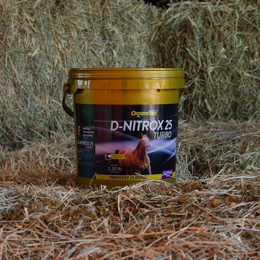 Horse supplements, Equine supplements, Horse supplement, Equine supplement, Performance horse, Performance equine, Performance horse training, Performance equine training, Calm supplement for horses, Calm supplement for equines, Best supplement for horses, Best supplement for equines, Energy supplement for horses, Energy supplement for equines, Supplement for horses muscles, Supplement for equines muscles, Horses muscle mass, Equine muscle mass, Horse muscle gain