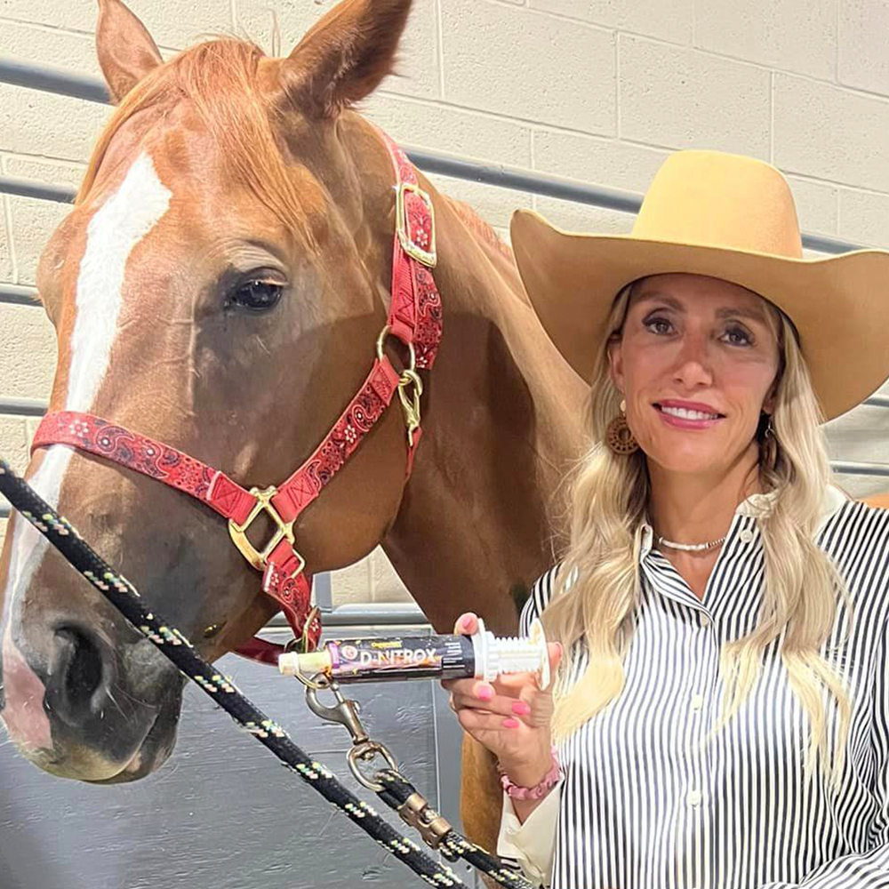 Horse supplements, Equine supplements, Horse supplement, Equine supplement, Performance horse, Performance equine, Performance horse training, Performance equine training, Calm supplement for horses, Calm supplement for equines, Best supplement for horses, Best supplement for equines, Energy supplement for horses, Energy supplement for equines, Supplement for horses muscles, Supplement for equines muscles, Horses muscle mass, Equine muscle mass, Horse muscle gain