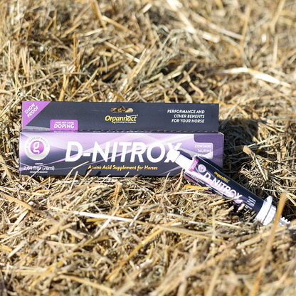 Horse supplements, Equine supplements, Horse supplement, Equine supplement, Performance horse, Performance equine, Performance horse training, Performance equine training, Calm supplement for horses, Calm supplement for equines, Best supplement for horses, Best supplement for equines, Energy supplement for horses, Energy supplement for equines, Supplement for horses muscles, Supplement for equines muscles, Horses muscle mass, Equine muscle mass, Horse muscle gain