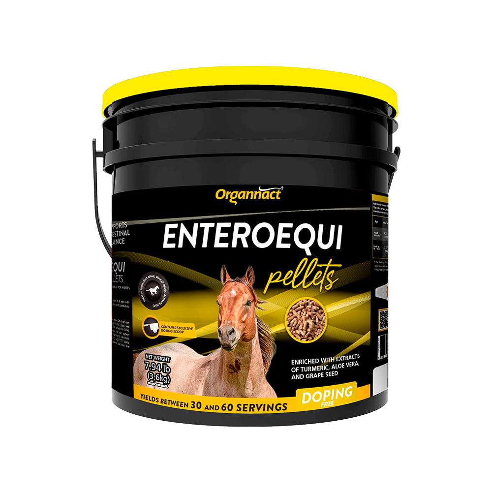 Organnact Enteroequi Horse Supplement