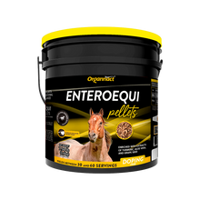 Organnact Enteroequi Horse Supplement