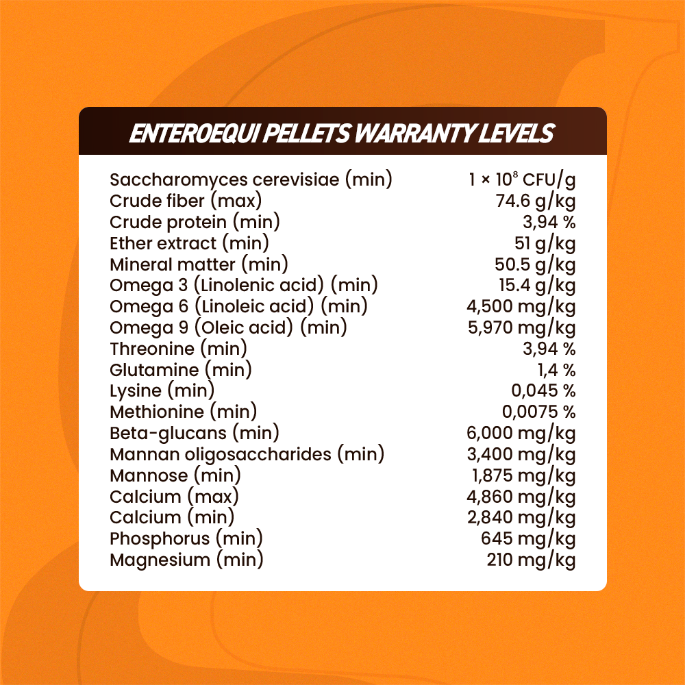 Organnact Enteroequi Horse Supplement
