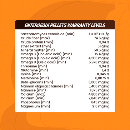 Organnact Enteroequi Horse Supplement