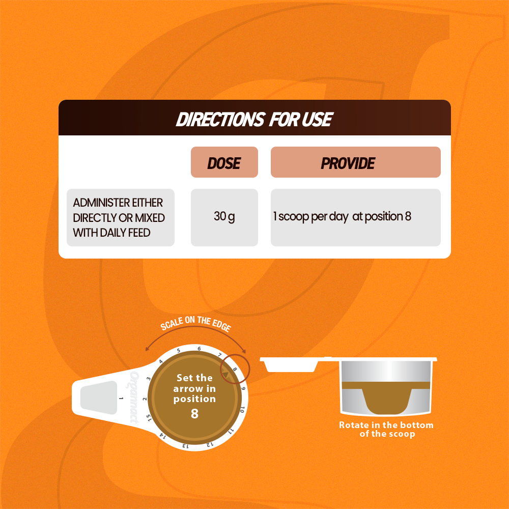 Horse supplements, Equine supplements, Horse supplement, Equine supplement, Performance horse, Performance equine, Performance horse training, Performance equine training, Calm supplement for horses, Calm supplement for equines, Best supplement for horses, Best supplement for equines, Energy supplement for horses, Energy supplement for equines, Supplement for horses muscles, Supplement for equines muscles, Horses muscle mass, Equine muscle mass, Horse muscle gain