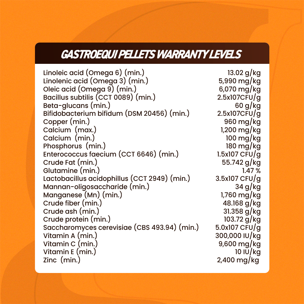 Equine muscle gain, Best supplement for horse metabolic, Best supplement for equine metabolic, Best supplement for performance horses, Best supplement for performance equines, Digestive supplement for horse, Digestive supplement for equines, Calming supplements for horses, Calming supplements for equines, Best calming paste, Horse vitamins and minerals supplement, Equine vitamins and minerals supplement, Supplement performance for horse, Supplement performance for equine