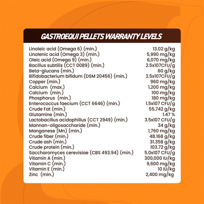 Equine muscle gain, Best supplement for horse metabolic, Best supplement for equine metabolic, Best supplement for performance horses, Best supplement for performance equines, Digestive supplement for horse, Digestive supplement for equines, Calming supplements for horses, Calming supplements for equines, Best calming paste, Horse vitamins and minerals supplement, Equine vitamins and minerals supplement, Supplement performance for horse, Supplement performance for equine