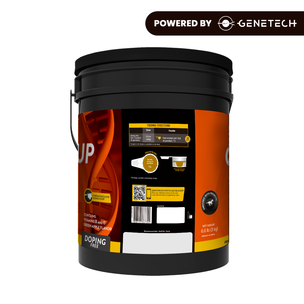 Organnact Gest UP Horse Supplement