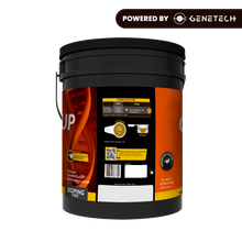 Organnact Gest UP Horse Supplement