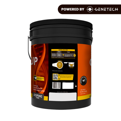 Organnact Gest UP Horse Supplement