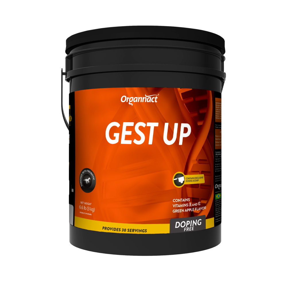 Organnact Gest UP Horse Supplement
