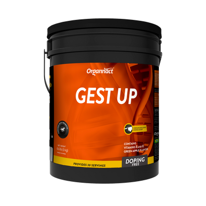 Organnact Gest UP Horse Supplement