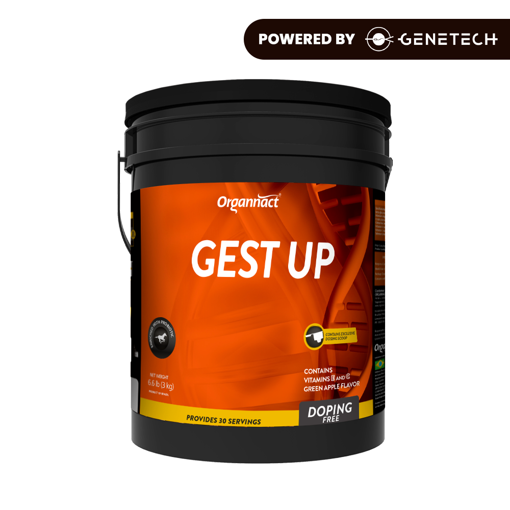 Organnact Gest UP Horse Supplement