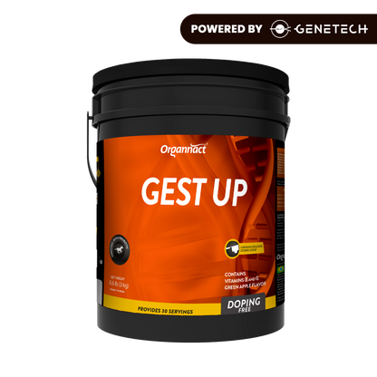 Organnact Gest UP Horse Supplement