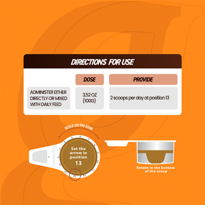Organnact Gest UP Horse Supplement