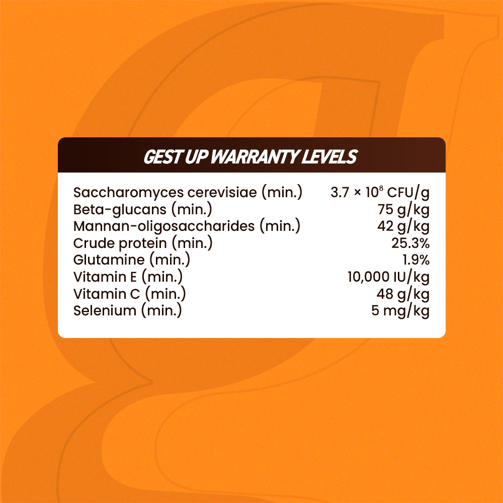 Organnact Gest UP Horse Supplement