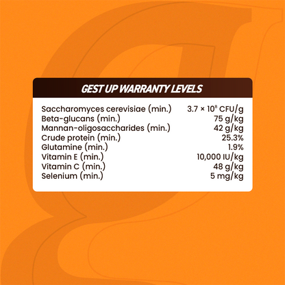 Organnact Gest UP Horse Supplement