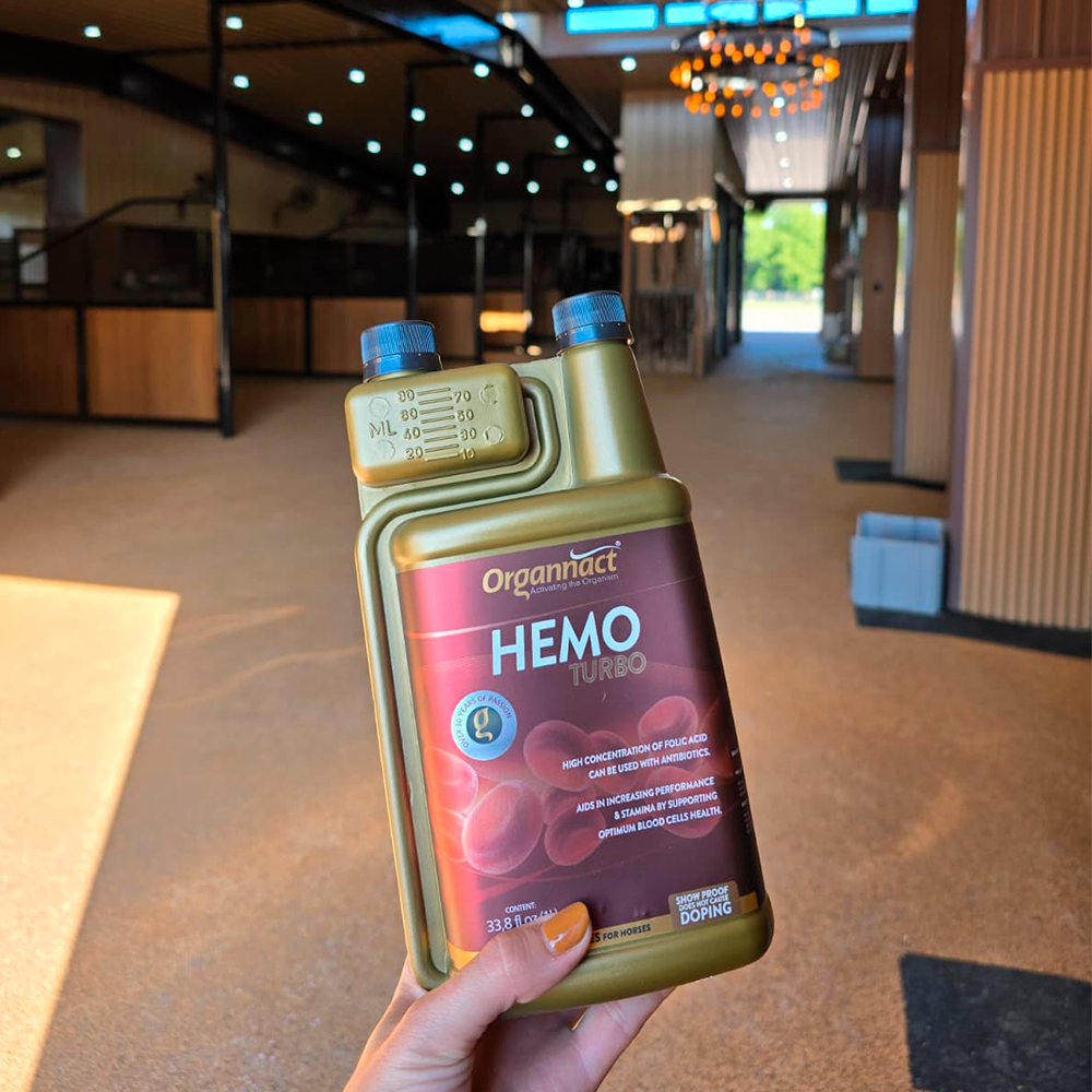 Horse supplements, Equine supplements, Horse supplement, Equine supplement, Performance horse, Performance equine, Performance horse training, Performance equine training, Calm supplement for horses, Calm supplement for equines, Best supplement for horses, Best supplement for equines, Energy supplement for horses, Energy supplement for equines, Supplement for horses muscles, Supplement for equines muscles, Horses muscle mass, Equine muscle mass, Horse muscle gain